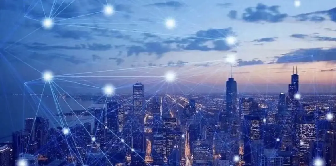 金钱肚是哪里美食